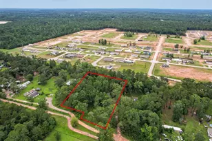 14745 Boyd Ln, Conroe, TX 77306 - Photo 6