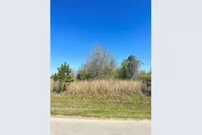 2557 County Road 3545, Cleveland, TX 77327 - Photo 2