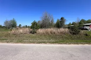 2557 County Road 3545, Cleveland, TX 77327 - Photo 1