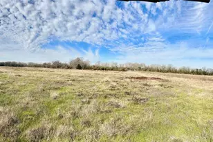 Tract #21 Southfield Trail, Lovelady, TX 75851 - Photo 1
