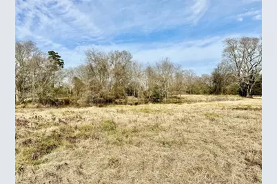 Tract #21 Southfield Trail, Lovelady, TX 75851 - Photo 8