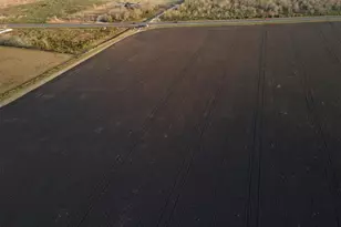 0 TX-35, Liverpool, TX 77577 - Photo 8