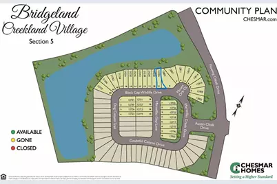 21226 Black Gap Wildlife Drive, Cypress, TX 77433 - Photo 22