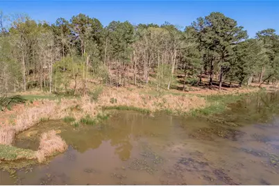 128 Three Lakes Ranch, Centerville, TX 75833 - Photo 4