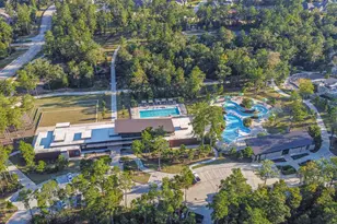 164 Gray Pine Grove Way, Willis, TX 77318 - Photo 24