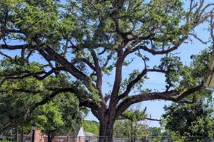 2654 Cos St, Liberty, TX 77575 - Photo 6