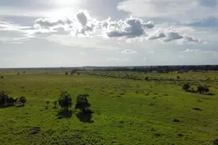 Cr308 Fm1163, El Campo, TX 77437 - Photo 10