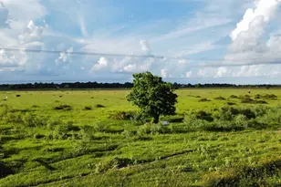 Cr308 Fm1163, El Campo, TX 77437 - Photo 8