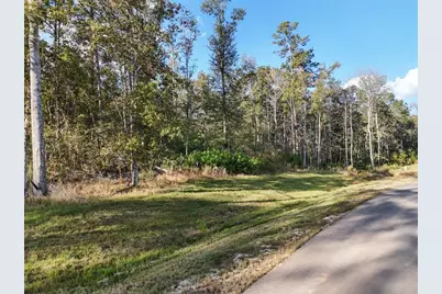 11615 Dawn Tree Lane, Willis, TX 77378 - Photo 2