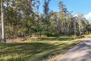 11615 Dawn Tree Ln, Willis, TX 77378 - Photo 2