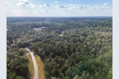 11615 Dawn Tree Lane, Willis, TX 77378 - Photo 4