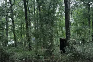 Tbd Mudd St, Coldspring, TX 77331 - Photo 1