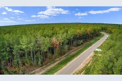 10886 Ruger Road, Willis, TX 77378 - Photo 20