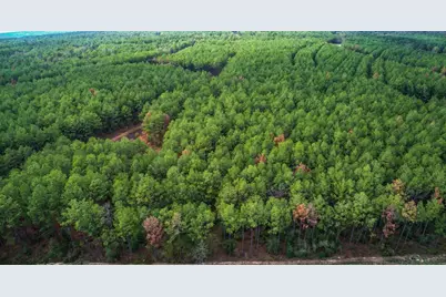 10886 Ruger Road, Willis, TX 77378 - Photo 8