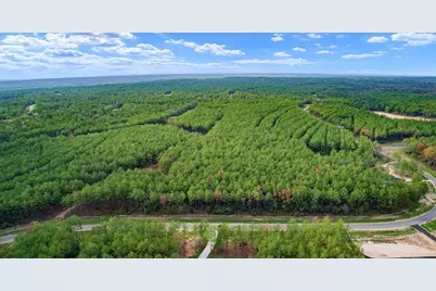 10886 Ruger Road, Willis, TX 77378 - Photo 10