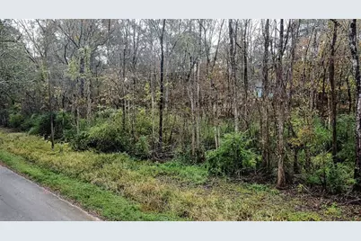 12651 Royal Creek Road, Conroe, TX 77303 - Photo 2