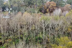 12651 Royal Creek Rd, Conroe, TX 77303 - Photo 4