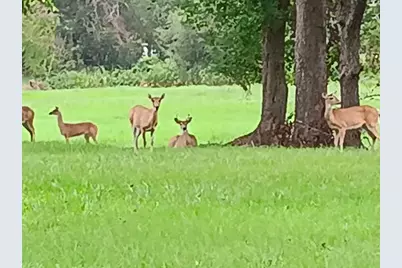 00 Brahman Trail, Angleton, TX 77515 - Photo 8