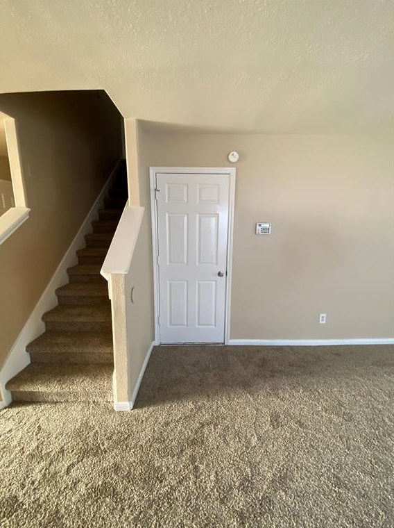 1703 Adella Dr, Houston, TX 77049