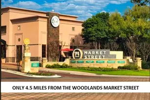 25615 Timber Lakes Dr, Spring, TX 77380 - Photo 8