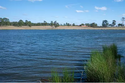 415 Evergreen Trail, Woodville, TX 75979 - Photo 4