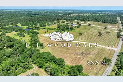 141 Oak Hill Lane, Bellville, TX 77418 - Photo 2