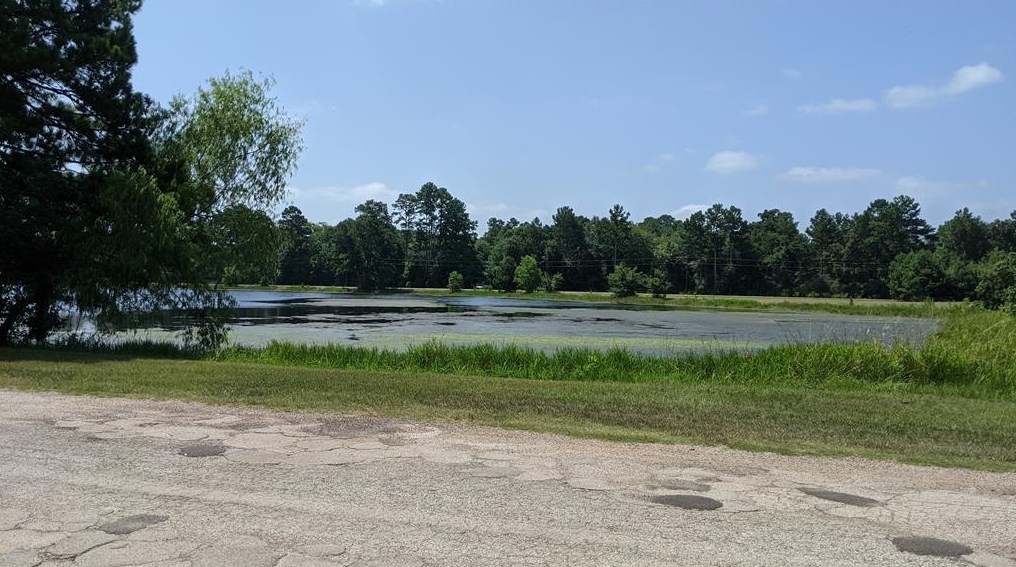 25374 Shoreline Rd, Hockley, TX 77447-6036