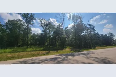 1555 County Road 632, Dayton, TX 77535 - Photo 2