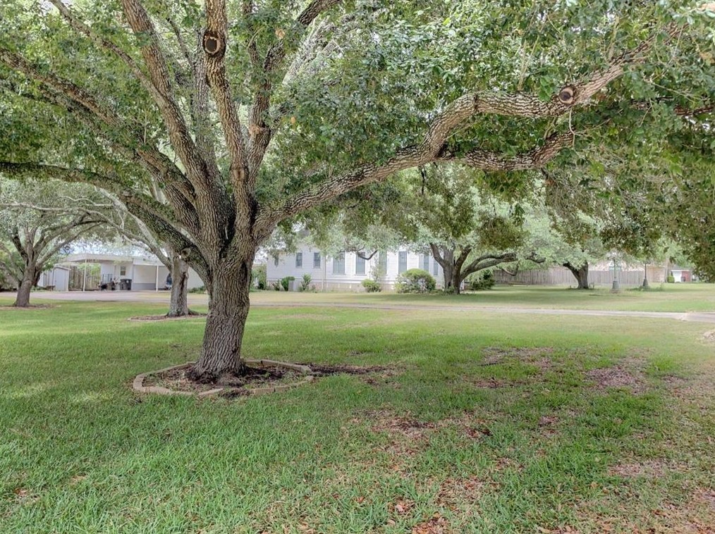 100 Anderson St, Engle, TX 78956-1644