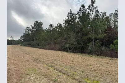 11700 Grand North Road, Willis, TX 77378 - Photo 8