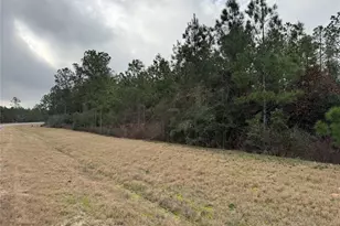 11700 Grand N Rd, Willis, TX 77378 - Photo 8