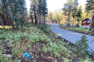 25 Larkspur Dr, Kirkwood, CA 95646 - Photo 1