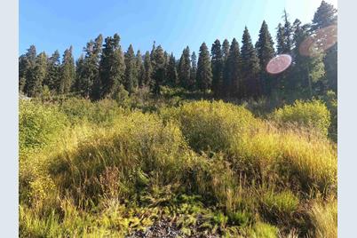 1051 Snow Crest Road - Photo 1