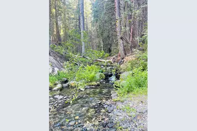 3050 Water Way, Clio, CA 96106 - Photo 1