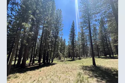 225 Gold Nugget Lane, Graeagle, CA 96103 - Photo 1