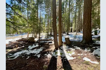 84 Yonkalla Trail, Graeagle, CA 96103 - Photo 1