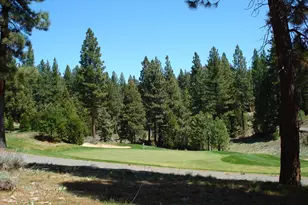 360 Big Grizzly Rd, Portola, CA 96122 - Photo 1