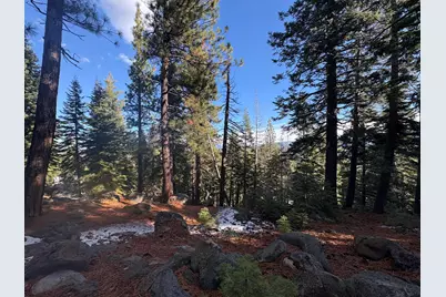 10574 Whitetail Court, Truckee, CA 96161 - Photo 1
