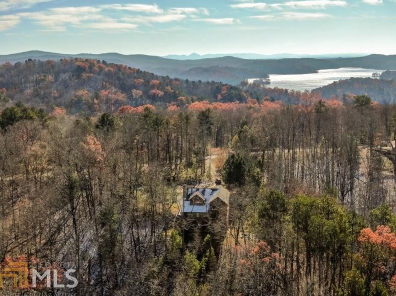394 Lake Forest Dr, Ellijay, GA 30540