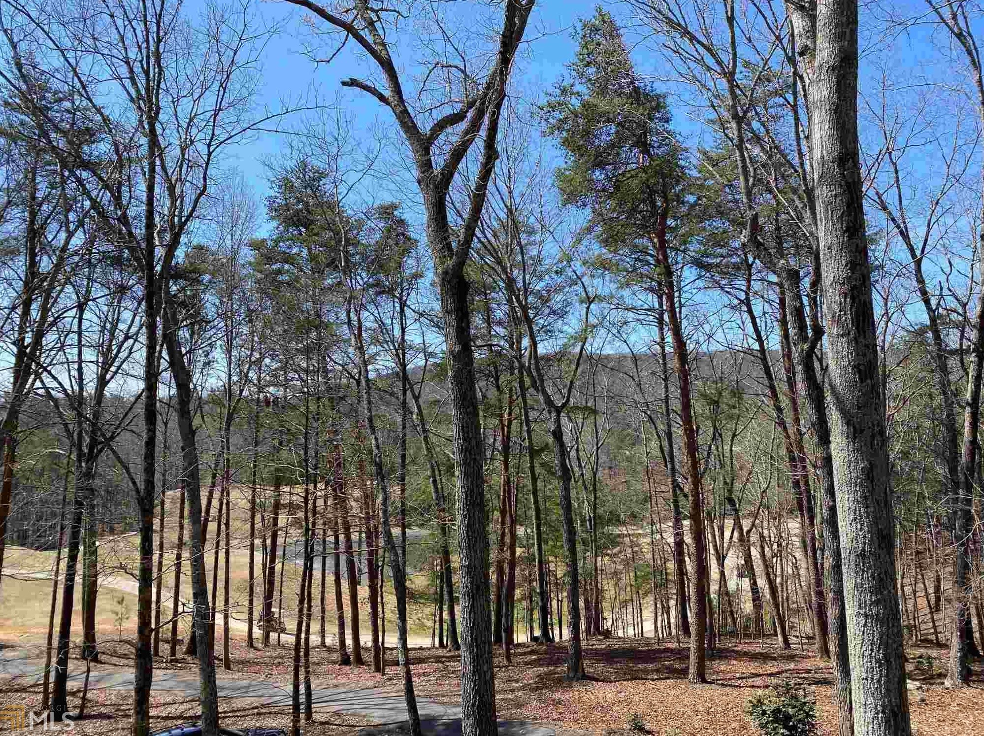 117 Cherokee Dr #418, Waleska, GA 30183