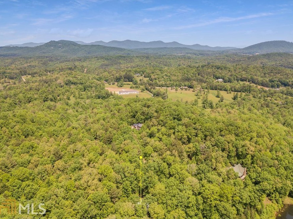 215 Indian Lake Rd, Mineral Bluff, GA 30559
