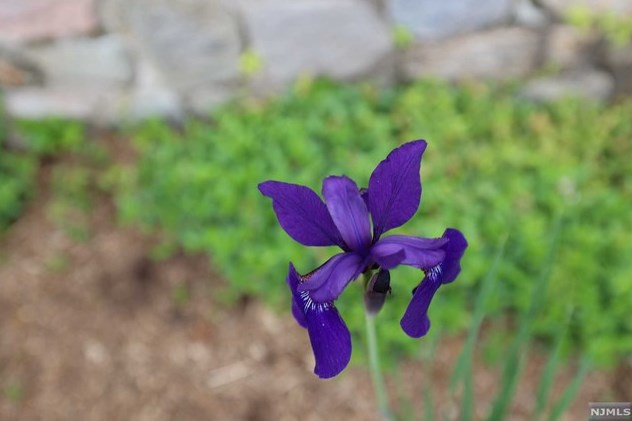 377 Lakeview Ave, Skyline Lakes NJ 07456-2100 exterior