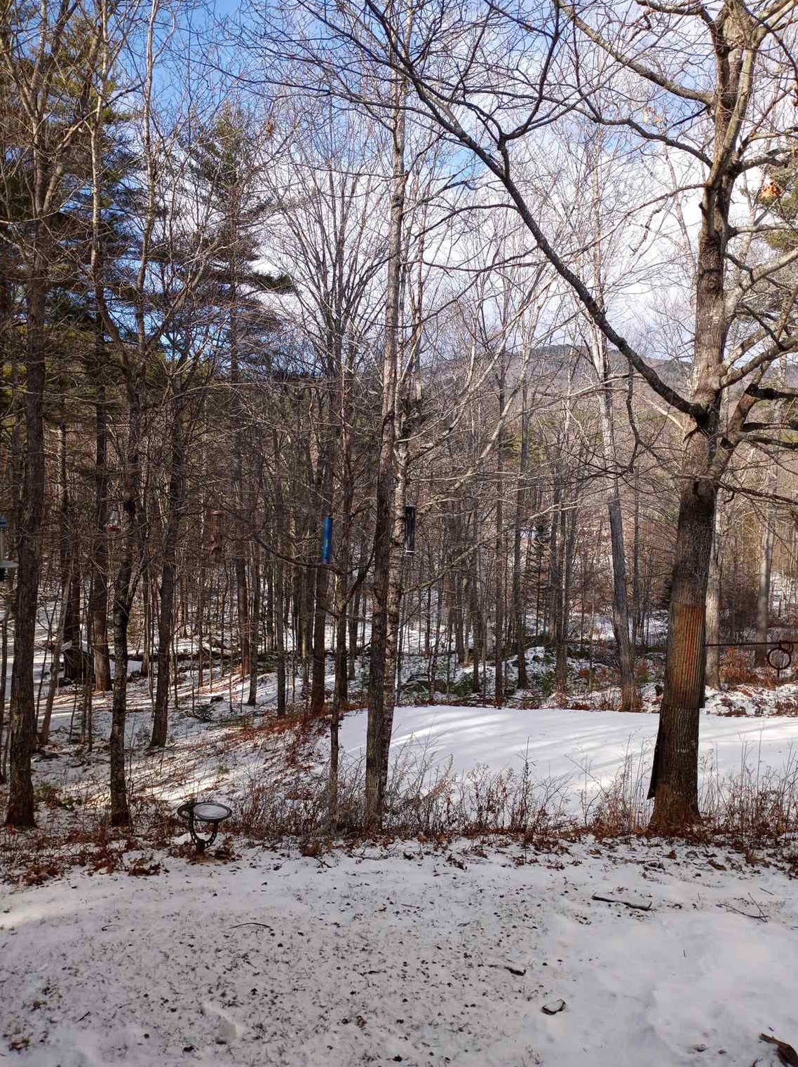 519 Coolidge Farm Rd, Sandwich, NH 03227 exterior