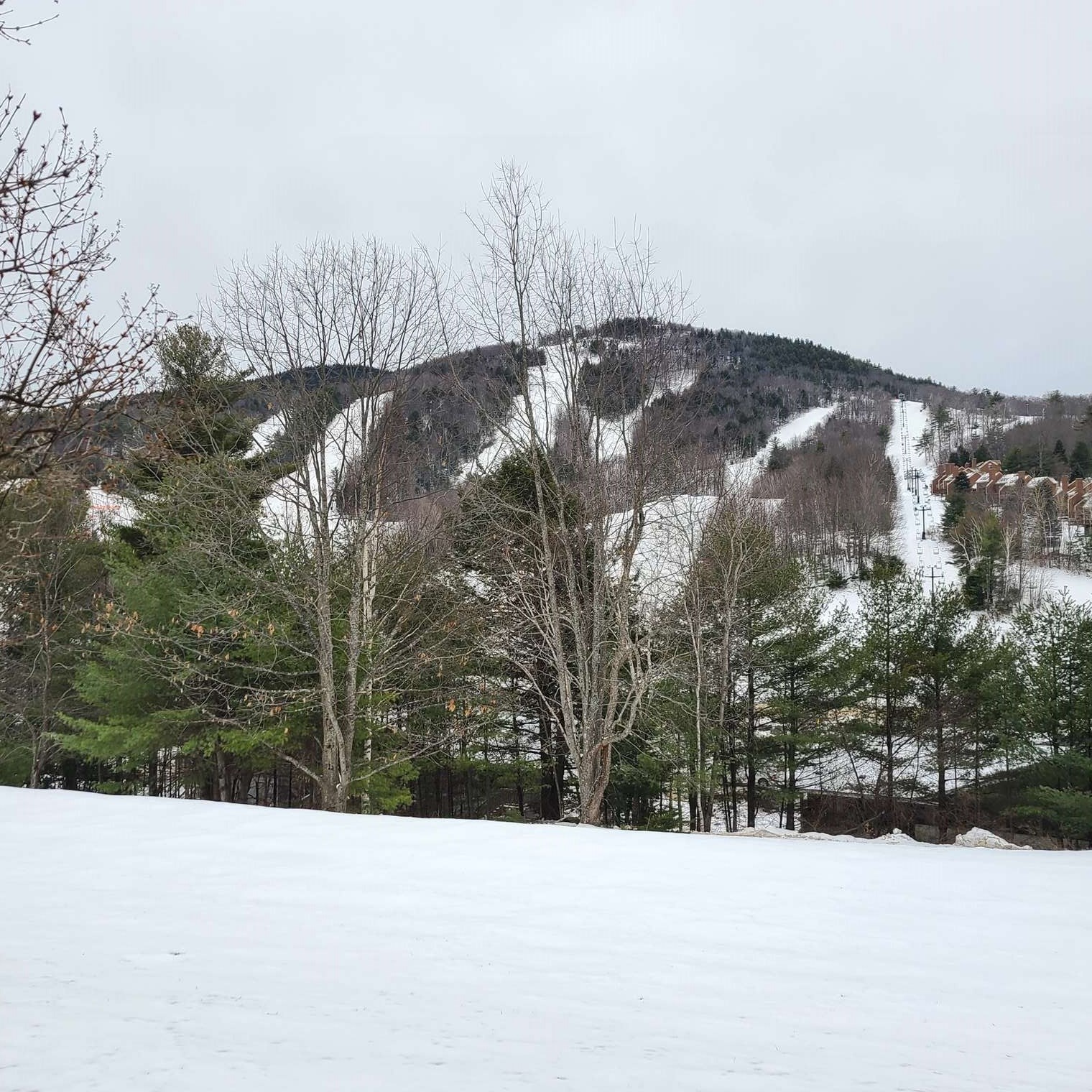 10 Onset Rd, Bennington, NH 03442