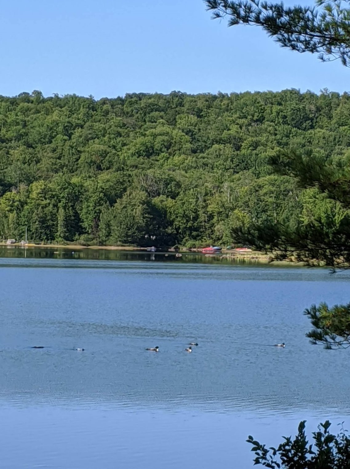 71 Goose Pond Rd, Hanover NH 03755-3923 exterior