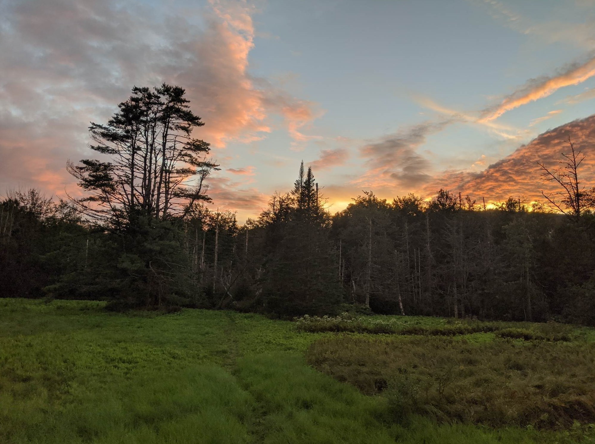 71 Goose Pond Rd, Hanover NH 03755-3923 exterior