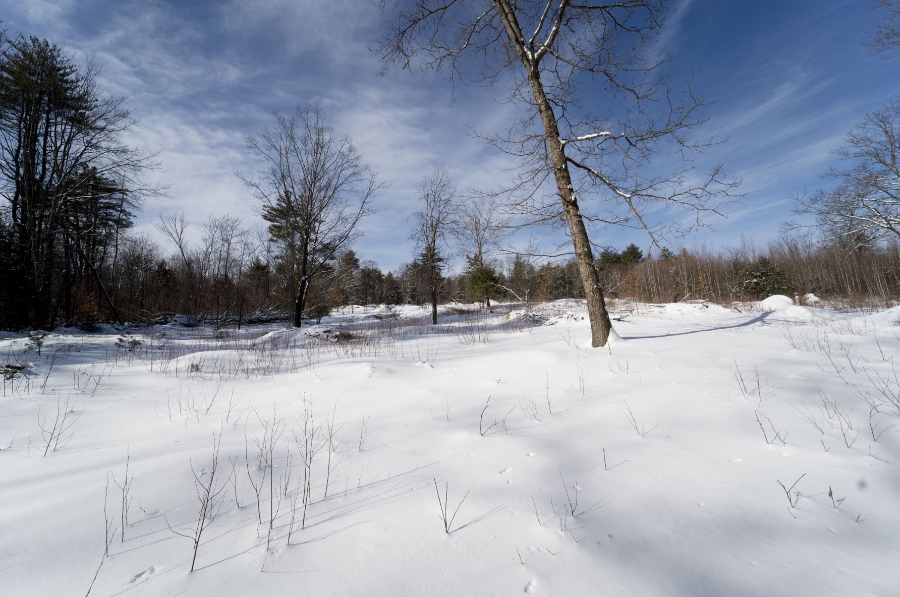 1207 Old Hillsboro Rd, Henniker, NH 03242