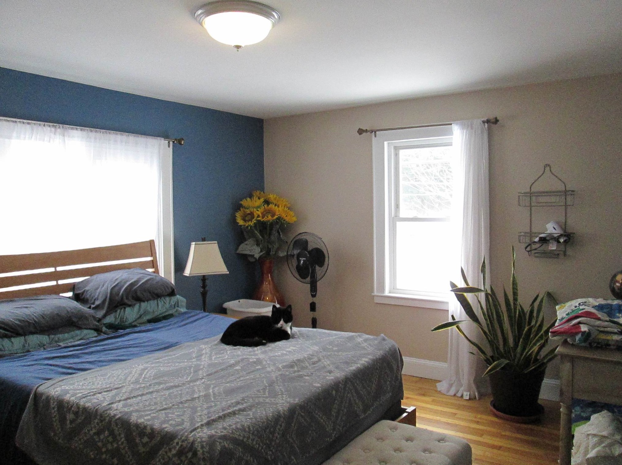 286 Old Wellington Rd, Manchester NH 03104-4596 exterior