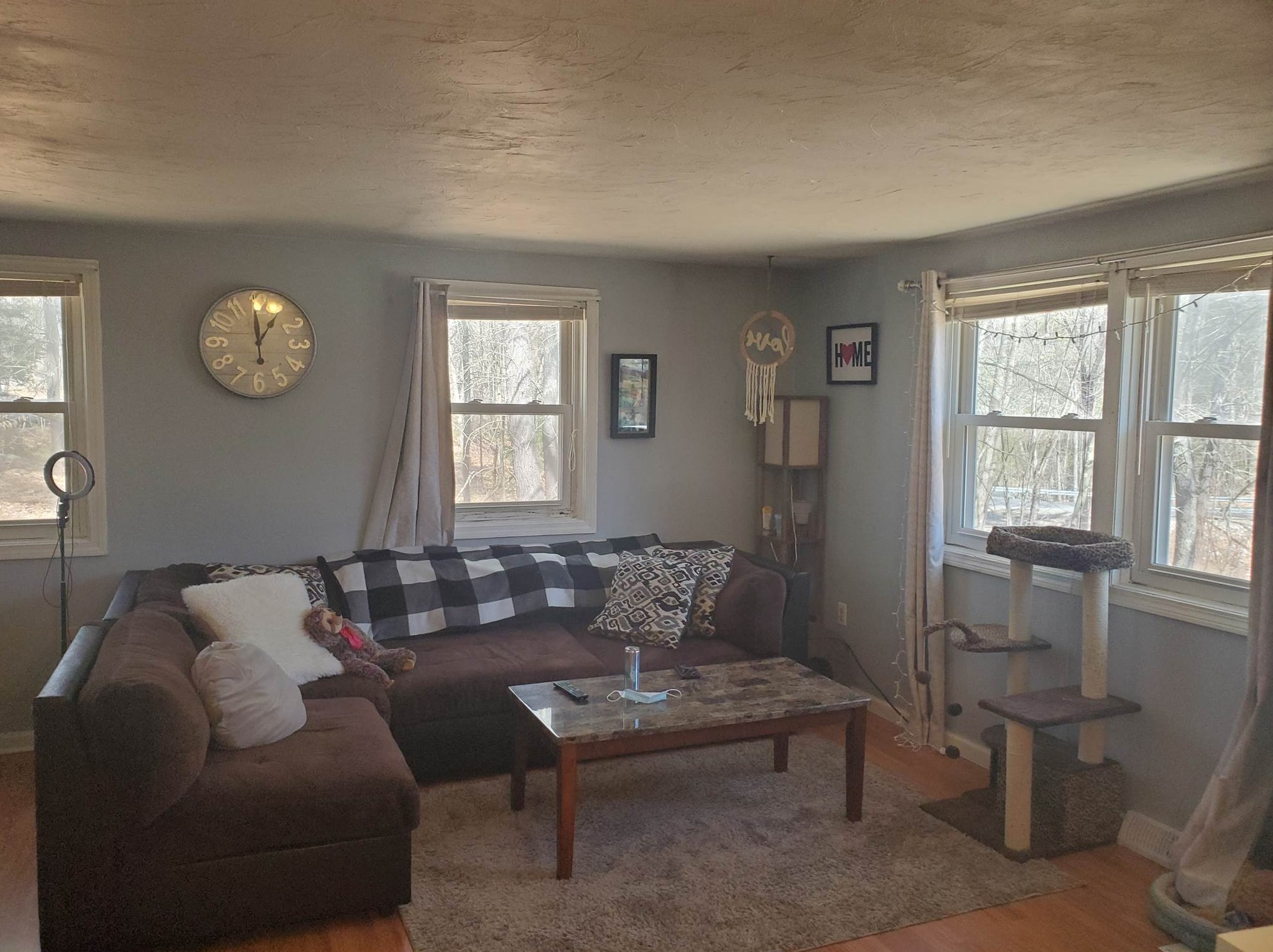 431 New Orchard Rd, Chichester, NH 03234