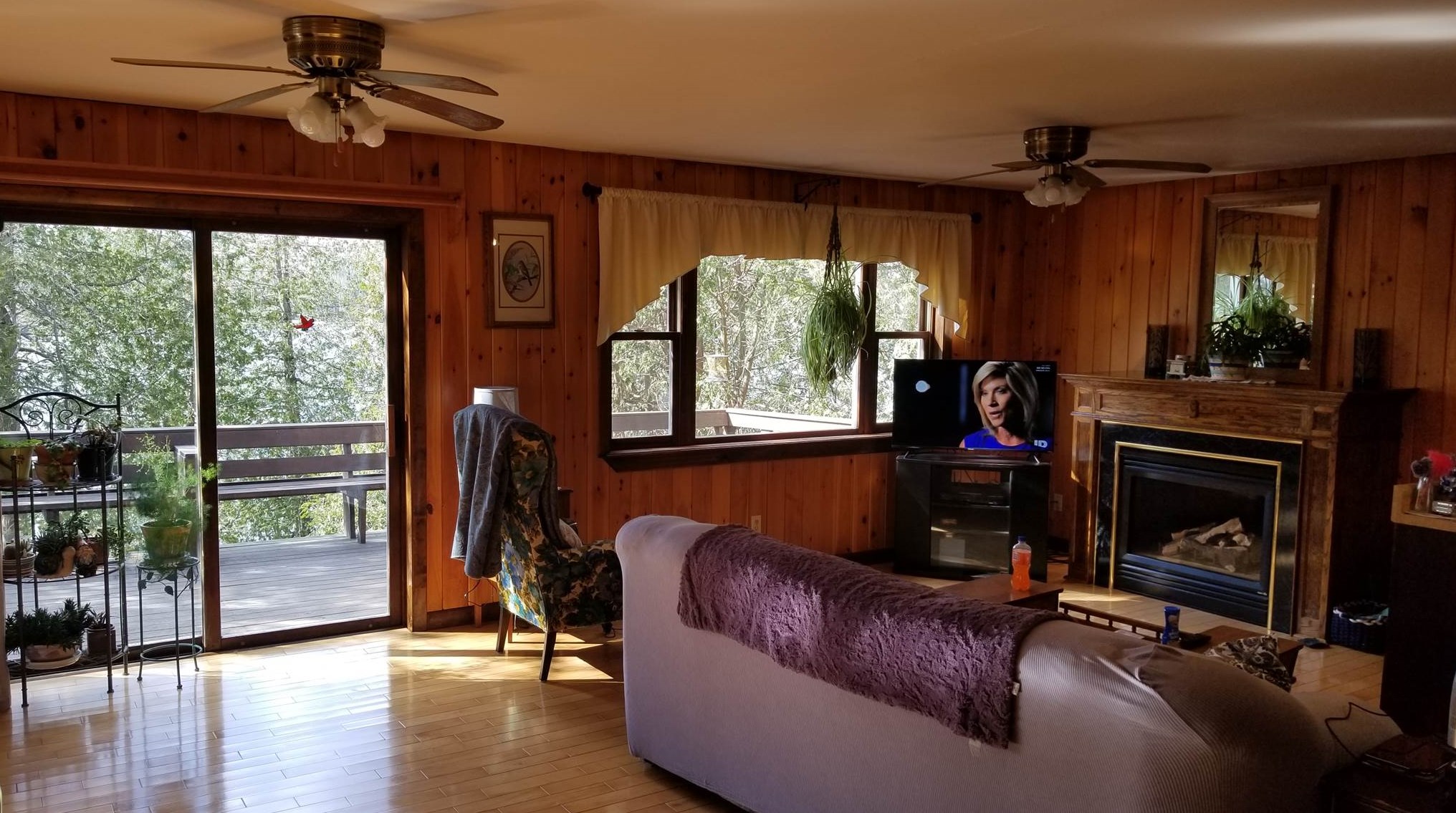 116 Cedar Pond Dr, Dummer, NH 03588-3303